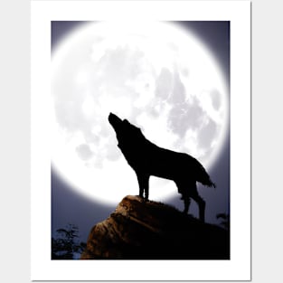 Wolf at Night Posters and Art